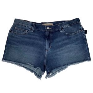 Anthro-Joe’s Jeans cut off jean shorts size 32